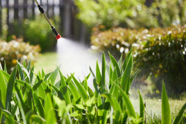24/7 Emergency Cockroach Control experts in Fort Recovery, OH