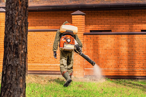 Top rated local Cockroach Control specialists in Fort Recovery, OH